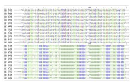 Despite the low sequence similarity the hypothetical protein is a prototypical YjgF/YER057c/UK114 endoribonuclease