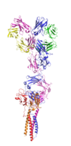 Figure 1.The coolest image of this protein EVAH!!!”
