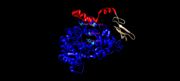 Figure 1: Cyclooxygenase active site. Image taken in Chimera from PDB file 5KIR.