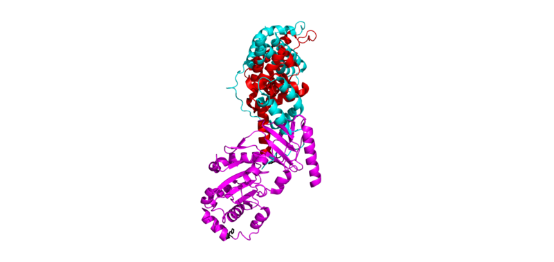 Image:Domain rotation.png