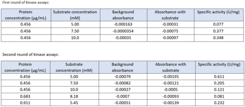 Table of data showing all eight coupled kinase assays with 3HDT.