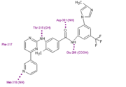 Nilotinib in binding site