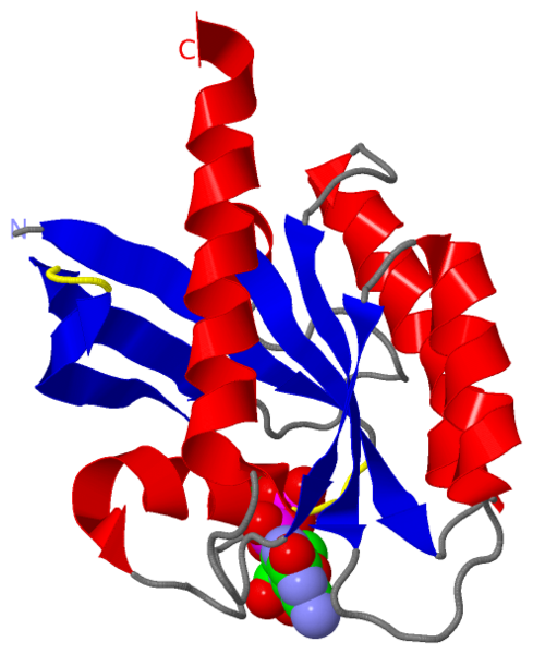 Image:1q21.png