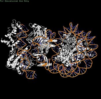 3. Mutant sites (orange spheres): H1264/R1298/K1300