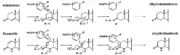 Fig. 1. Proposed mechanism of inhibition by Bull et. al. Image shows how the inhibition of 5alpha-reductase is achieved  as Finasteride is used as a substrate to create an enolate intermediate, similar to the one made  during the reduction of testosterone. However, the complex created does not allow for the proton transfer needed to complete the reduction of NADP-Dihydrofinasteride  to Finasteride, because of the change in the carbanion position