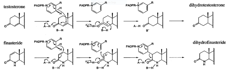 Image:Biochem group project.PNG