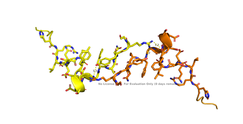 Image:H bonding between dimers.png