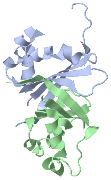 Image:1sqe.png