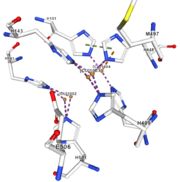 Figure 4: Copper 1003