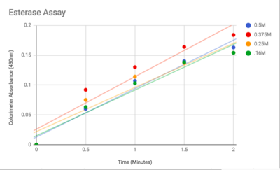 Figure 3: Graphed Results of our Esterase Activity