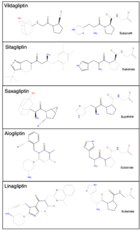 Figure 2. Chemdraw images of the structures of different DPP-IV inhibitors.