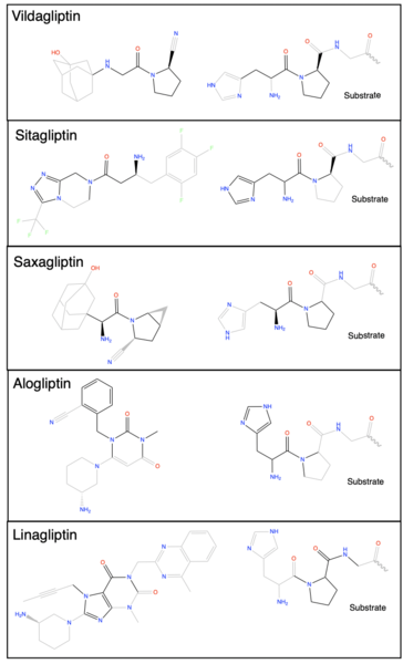 Image:Inhibitos list.png