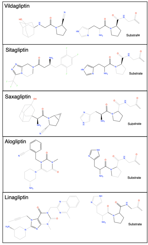 Figure 3. Chemdraw images of the structures of different DPP-IV inhibitors.