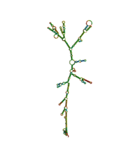 Multiply sequence Alignment 1xtc