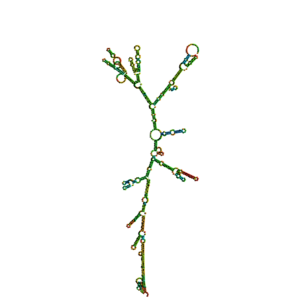 TcpF-RNA 1xtc