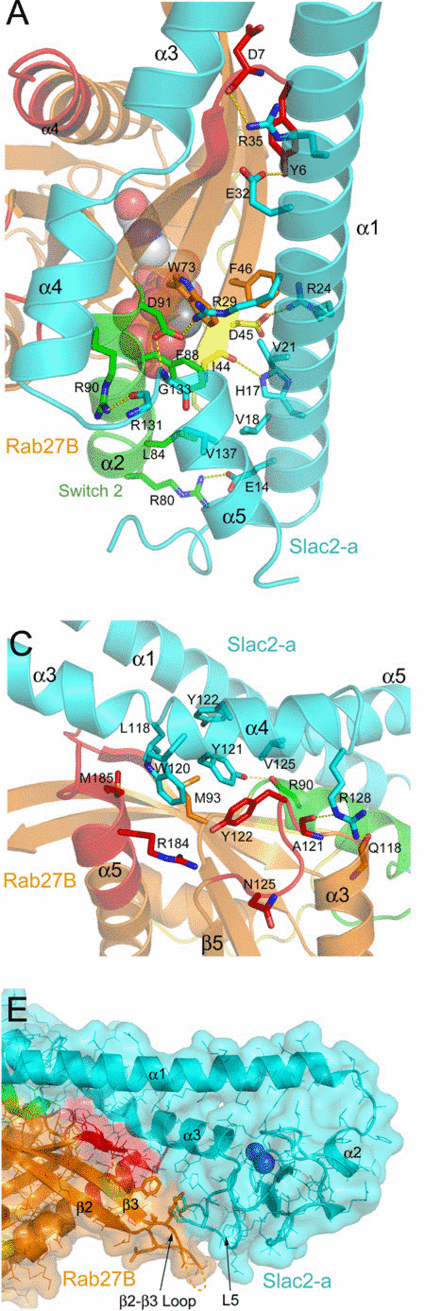 Picture 3:   Caption: