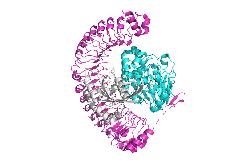 Image:SMP complex.png
