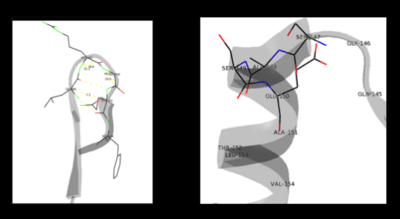  β turn (left) and capping-box (right) 