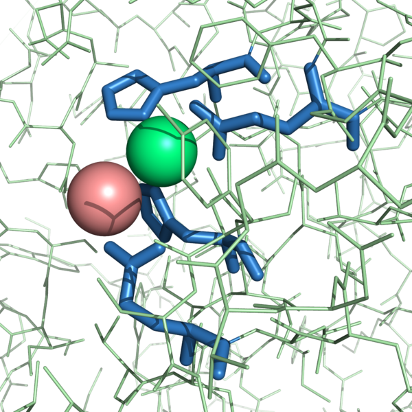 Image:Zn2+ binding spheres Pres.png